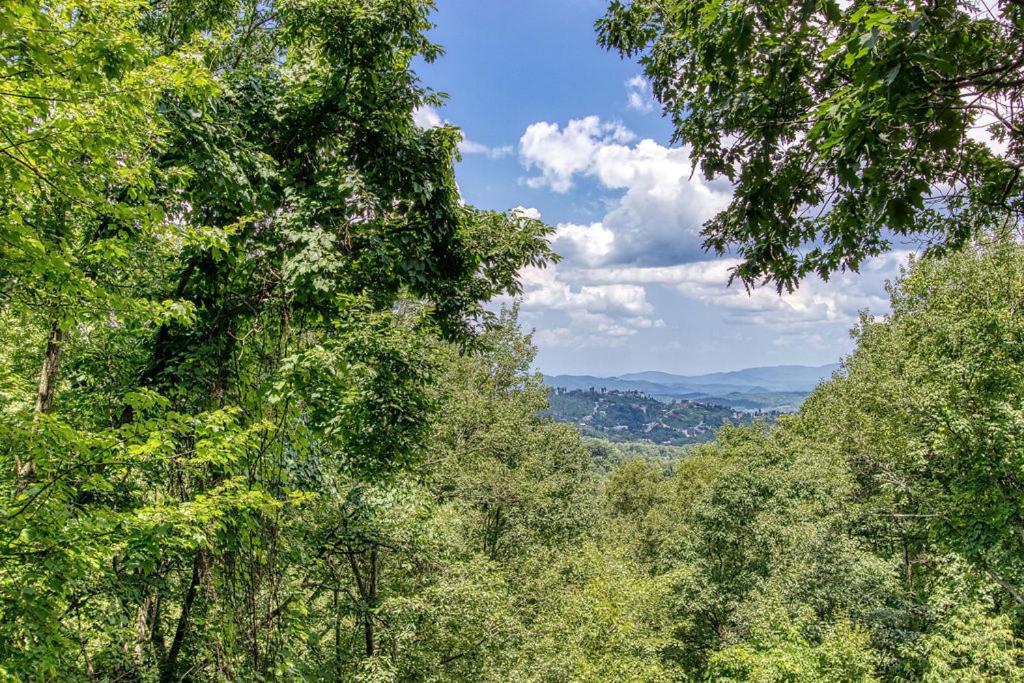 Serenity Heights, Amazing Views, Hot Tub Pool Access, 1089 Free Tickets Each Paid Day, Dollywood Гатлінбург Екстер'єр фото